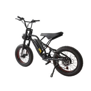 E-Fat Tire Bike EF-102