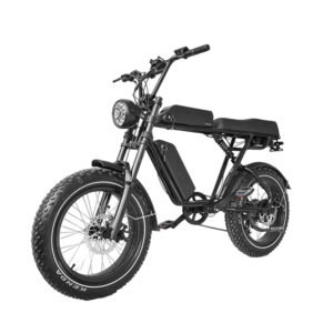 E-Fat Tire Bike EF-108