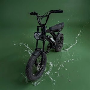 E-Fat Tire Bike EF-117