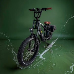 E-City Bike EC-143