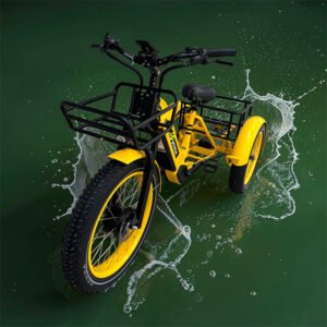 E-Tricycle Bike ET-101